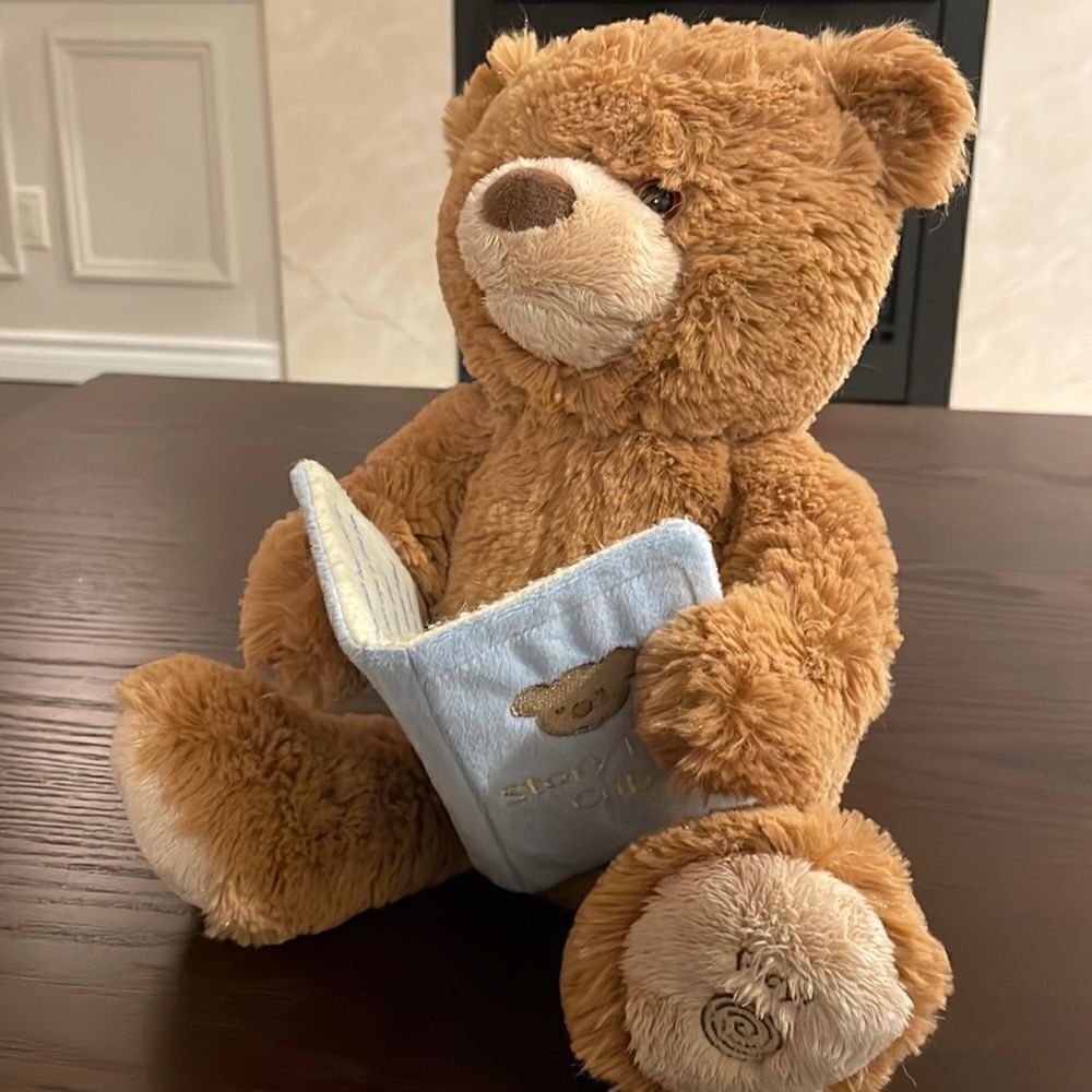 Baby Gund Storytime Cub Bear with Book Storytelling bear Excellent Condition 12”